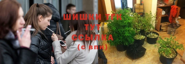 шишки Аркадак