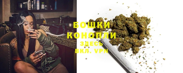 шишки Аркадак