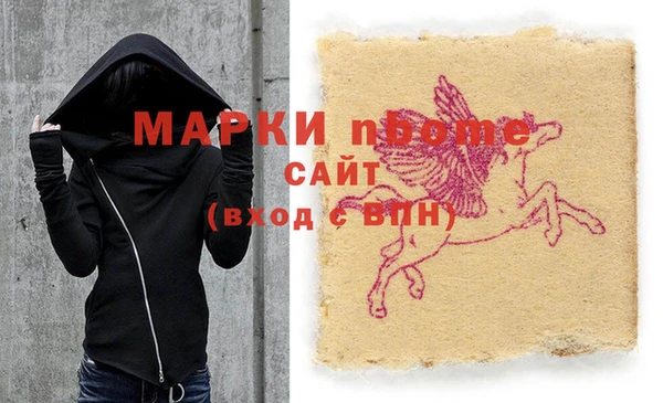 шишки Аркадак