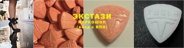шишки Аркадак