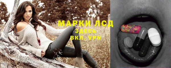 шишки Аркадак