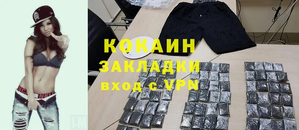 шишки Аркадак