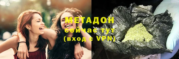 шишки Аркадак